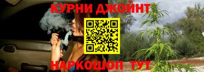 мяу мяу мука Будённовск