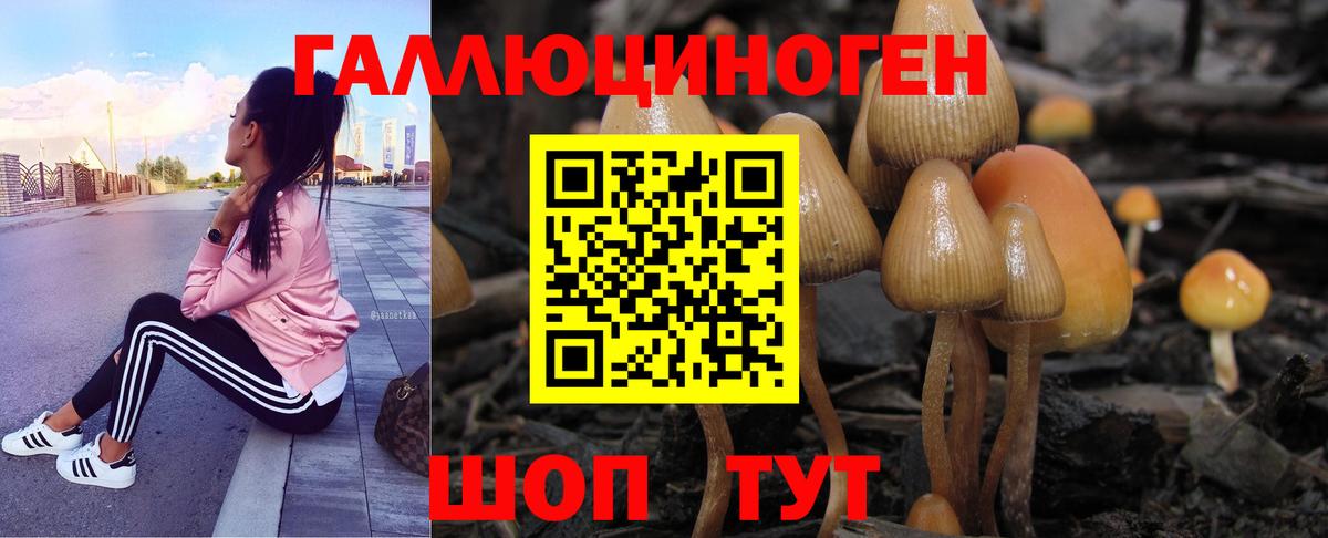 Псилоцибиновые грибы Cubensis  Псилоцибиновые грибы прущие грибы  Юрга  Вход с VPN 