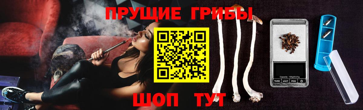 Псилоцибиновые грибы Psilocybe Юрга